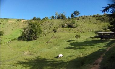 Venta de finca en vereda Altos del Mercado, Marinilla