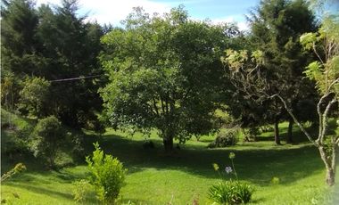Venta de finca en vereda Altos del Mercado, Marinilla