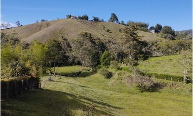 Venta de finca en vereda Altos del Mercado, Marinilla
