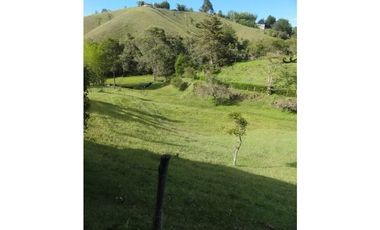 Venta de finca en vereda Altos del Mercado, Marinilla