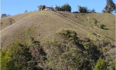 Venta de finca en vereda Altos del Mercado, Marinilla
