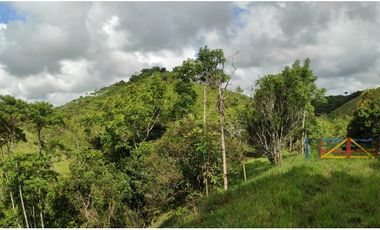 Venta de finca en Maceo, Antioquia - Colombia.