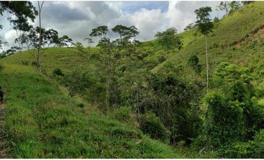 Venta de finca en Maceo, Antioquia - Colombia.