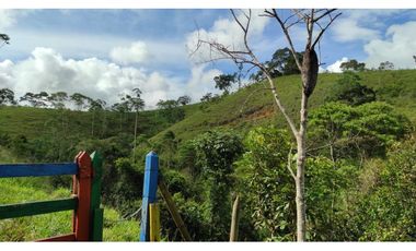 Venta de finca en Maceo, Antioquia - Colombia.