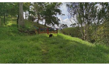 Venta de finca en Maceo, Antioquia - Colombia.