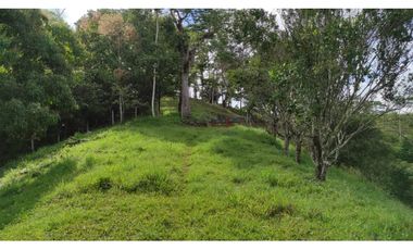 Venta de finca en Maceo, Antioquia - Colombia.