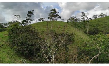 Venta de finca en Maceo, Antioquia - Colombia.