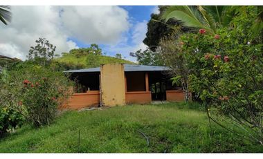 Venta de finca en Maceo, Antioquia - Colombia.