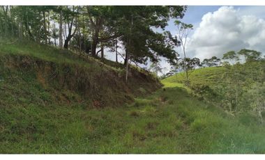 Venta de finca en Maceo, Antioquia - Colombia.
