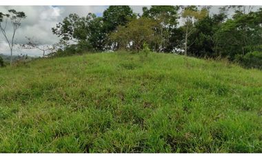 Venta de finca en Maceo, Antioquia - Colombia.