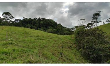 Venta de finca en Maceo, Antioquia - Colombia.