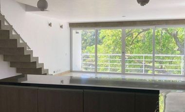 Loft de lujo para ti