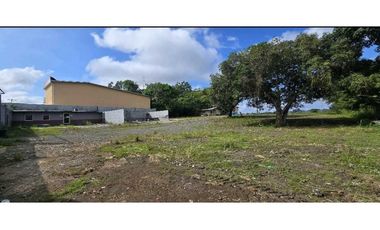 ALQUILO TERRENO EN ARRAIJAN VISTA ALEGRE 6000MTS