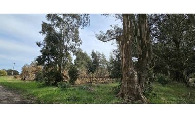 Lote en venta Reserva Golf Los Acantilados