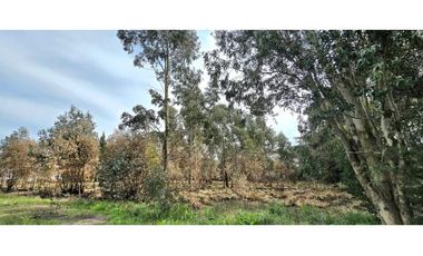 Lote en venta Reserva Golf Los Acantilados