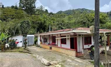 SE VENDE FINCA POR EL ALTO DEL NUDO