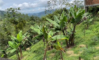 SE VENDE FINCA POR EL ALTO DEL NUDO