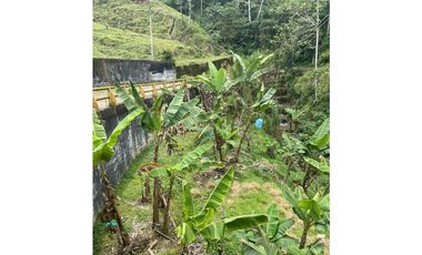 SE VENDE FINCA POR EL ALTO DEL NUDO