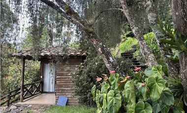 Venta de Finca  Campestre en el Carmen de Viboral