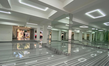 LOCAL COMERCIAL CON OFICINA EN RENTA 740 m2