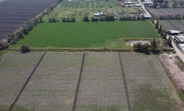 Venta Terreno en Teoloyucan