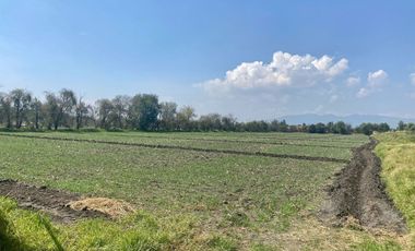 Venta Terreno en Teoloyucan