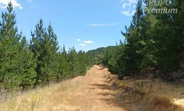 Parcela en Venta en ruta 776