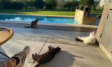 Alquiler de casa en el Barrio de Santa Juana amoblada -Canning