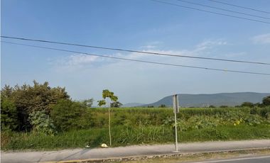 MACROLOTE EN VENTA A BORDO DE CARRETERA JOJUTLA – GALEANA