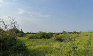 MACROLOTE EN VENTA A BORDO DE CARRETERA JOJUTLA – GALEANA