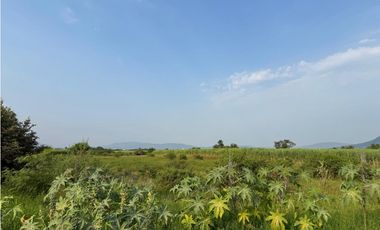 MACROLOTE EN VENTA A BORDO DE CARRETERA JOJUTLA – GALEANA