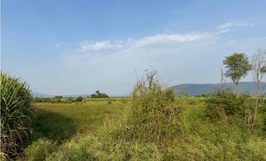 MACROLOTE EN VENTA A BORDO DE CARRETERA JOJUTLA – GALEANA