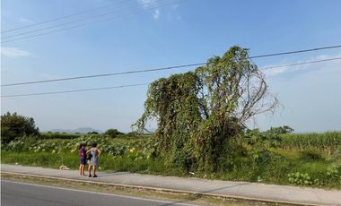 MACROLOTE EN VENTA A BORDO DE CARRETERA JOJUTLA – GALEANA