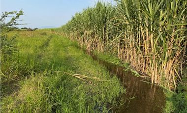 MACROLOTE EN VENTA A BORDO DE CARRETERA JOJUTLA – GALEANA