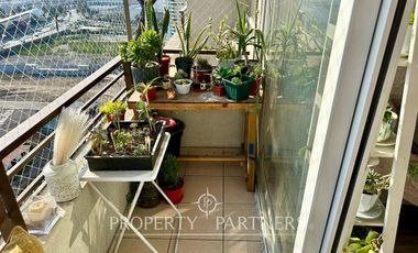 departamento estilo Mariposa, Escuela Agricola,  MACUL