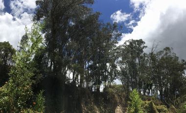 Venta casa nueva Cumbayá, cerca a la Ruta Viva 3dormitorios