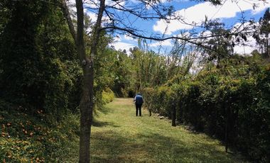 Venta casa nueva Cumbayá, cerca a la Ruta Viva 3dormitorios