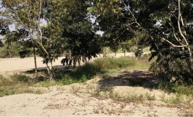 Terreno en  Terreno en Venta en LM-124, Asia, Perú