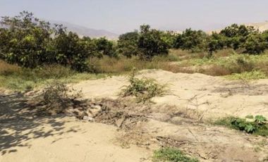 Terreno en  Terreno en Venta en LM-124, Asia, Perú
