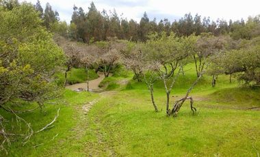 Parcela 5000m² en El Retiro