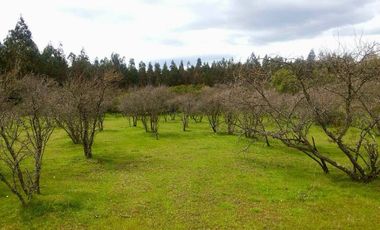Parcela 5000m² en El Retiro