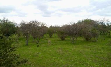 Parcela 5000m² en El Retiro