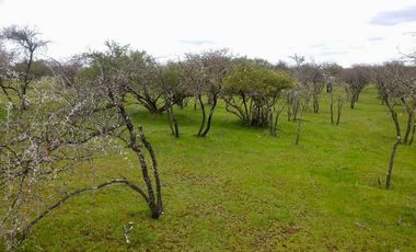 Parcela 5000m² en El Retiro