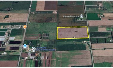 VENDE CAMPO 10 HAS EN PEREZ