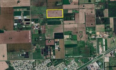 VENDE CAMPO 10 HAS EN PEREZ
