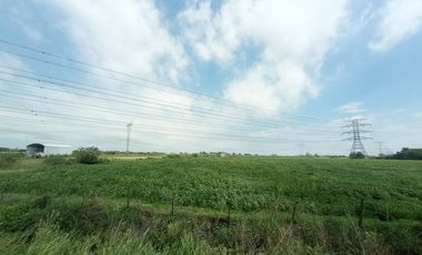 VENDE CAMPO 10 HAS EN PEREZ