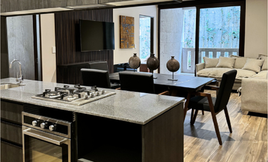 Departamento en Renta - Antigua Residences Zona Esmeralda