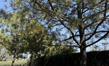 Espectacular Terreno en Venta en La Estadía, Hermosa Vista y Excelente Ubicación