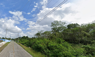 Terreno de 21,112.58 m2 en el Municipio de Bokobá Yucatán