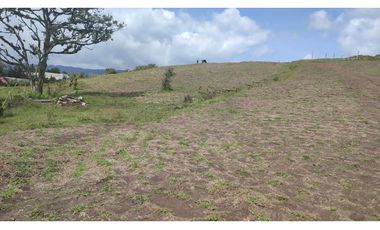 FINCA EN EL CARMEN 28.500 METROS USOS MULTIPLES 3.420 MILLONES